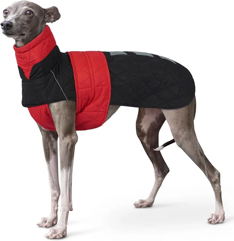 Casaco Whippet casaco impermeável, roupa de inverno cães fato de neve cachorro casaco para cães pequeno fato de esqui com orifício para arnês — Roupa aquecida