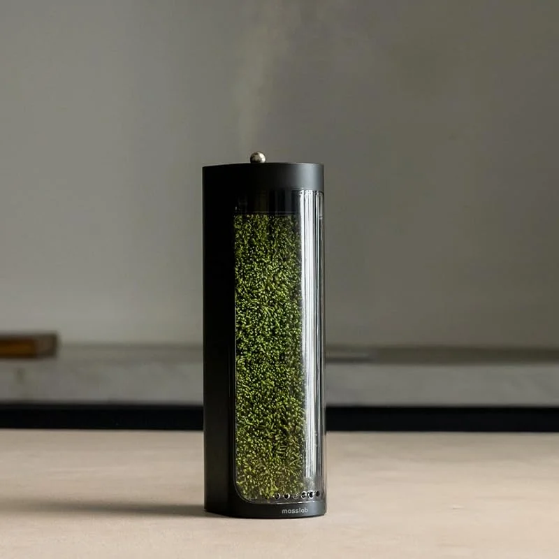 Moss Air - Humidificador Living Moss, Estético e relaxante, Mindfulness e meditação, plantas de interior de fácil cuidado, decoração de terrário e mesa, cascata de névoa, portátil e